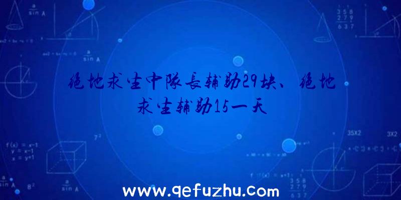 绝地求生中队长辅助29块、绝地求生辅助15一天