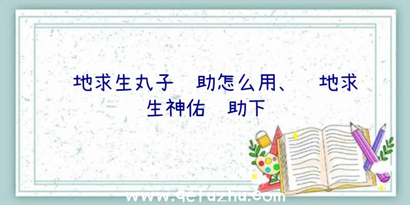 绝地求生丸子辅助怎么用、绝地求生神佑辅助下载