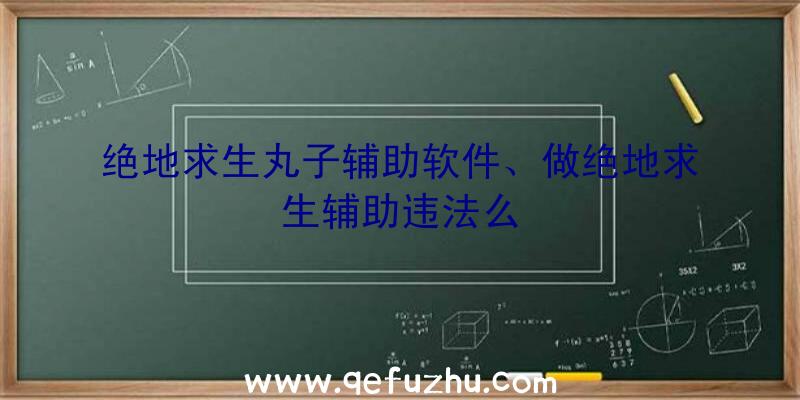 绝地求生丸子辅助软件、做绝地求生辅助违法么