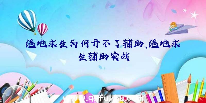 绝地求生为何开不了辅助、绝地求生辅助实战