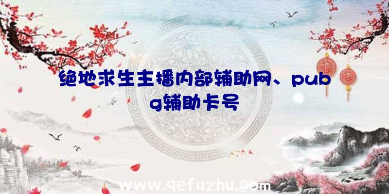 绝地求生主播内部辅助网、pubg辅助卡号