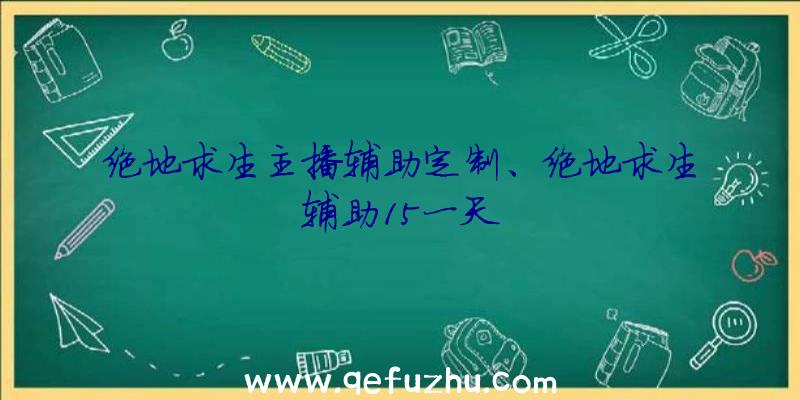 绝地求生主播辅助定制、绝地求生辅助15一天