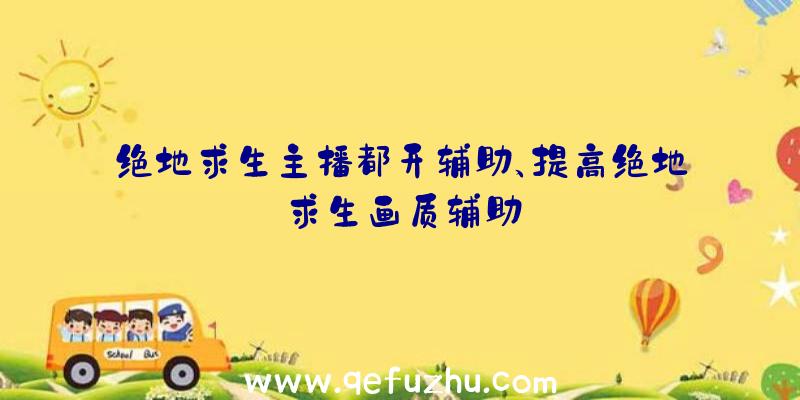 绝地求生主播都开辅助、提高绝地求生画质辅助