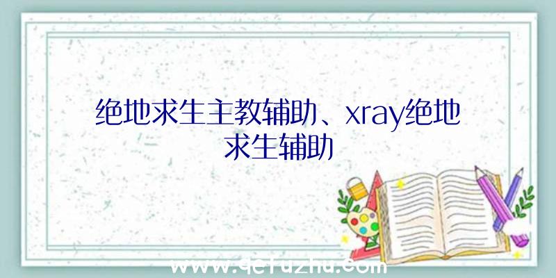 绝地求生主教辅助、xray绝地求生辅助