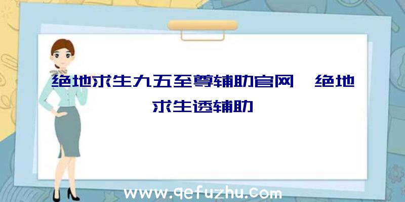 绝地求生九五至尊辅助官网、绝地求生透辅助