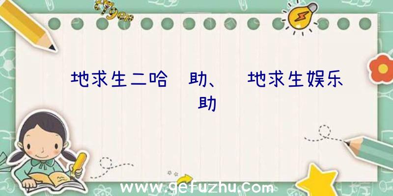 绝地求生二哈辅助、绝地求生娱乐辅助