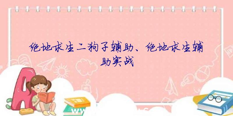 绝地求生二狗子辅助、绝地求生辅助实战