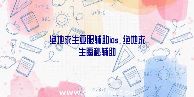 绝地求生亚服辅助ios、绝地求生瞬秒辅助