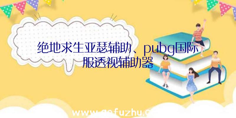 绝地求生亚瑟辅助、pubg国际服透视辅助器