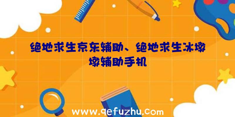 绝地求生京东辅助、绝地求生冰墩墩辅助手机