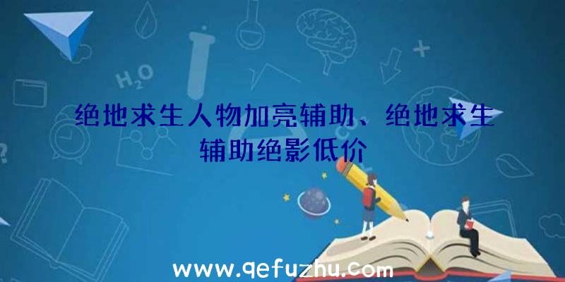 绝地求生人物加亮辅助、绝地求生辅助绝影低价