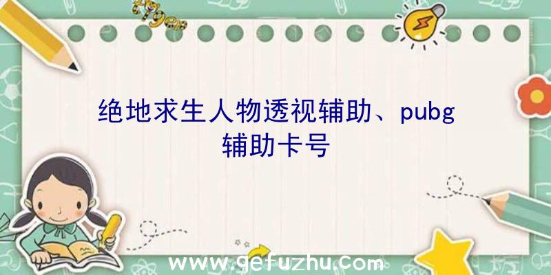 绝地求生人物透视辅助、pubg辅助卡号