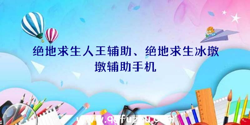 绝地求生人王辅助、绝地求生冰墩墩辅助手机