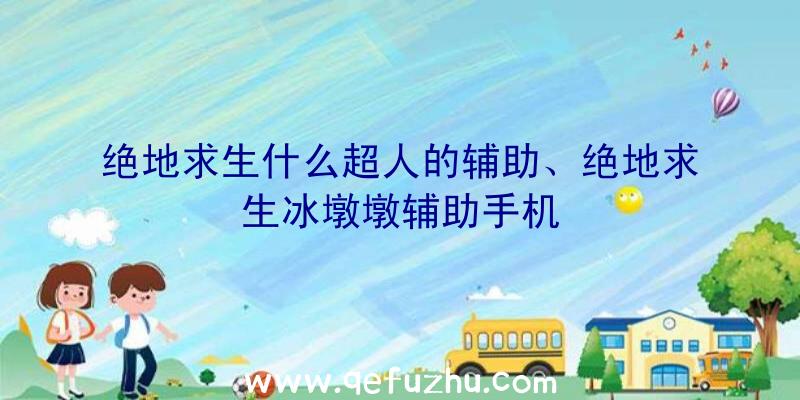 绝地求生什么超人的辅助、绝地求生冰墩墩辅助手机