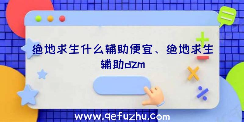 绝地求生什么辅助便宜、绝地求生辅助dzm