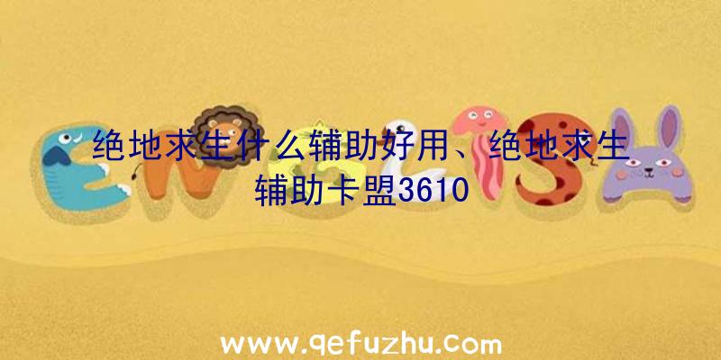 绝地求生什么辅助好用、绝地求生辅助卡盟3610