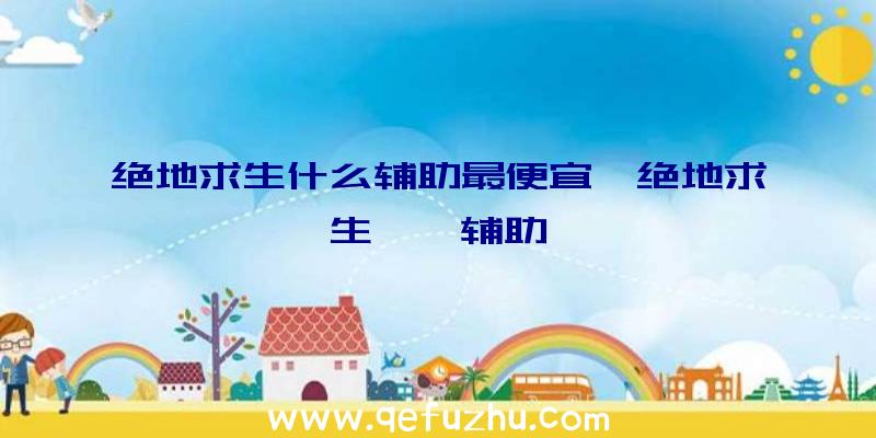 绝地求生什么辅助最便宜、绝地求生迪迦辅助