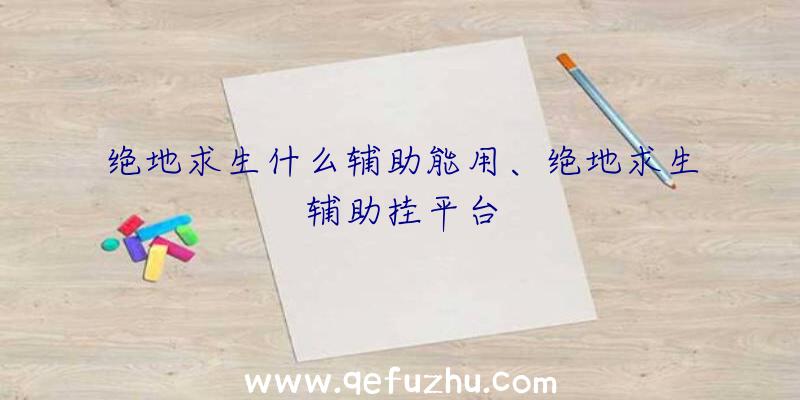 绝地求生什么辅助能用、绝地求生辅助挂平台