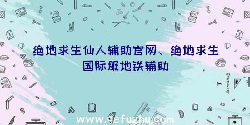 绝地求生仙人辅助官网、绝地求生国际服地铁辅助