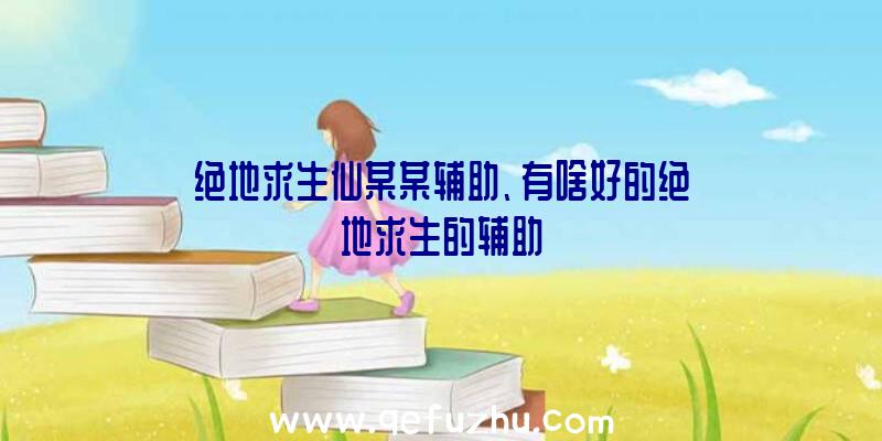 绝地求生仙某某辅助、有啥好的绝地求生的辅助