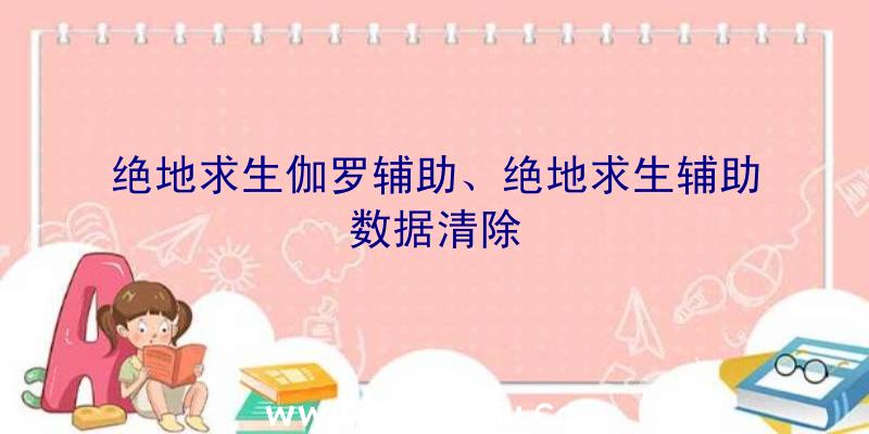 绝地求生伽罗辅助、绝地求生辅助数据清除