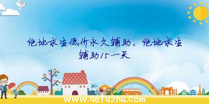 绝地求生低价永久辅助、绝地求生辅助15一天