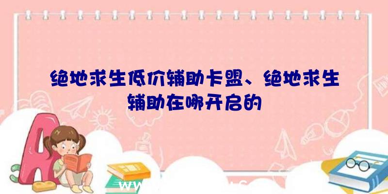 绝地求生低价辅助卡盟、绝地求生辅助在哪开启的