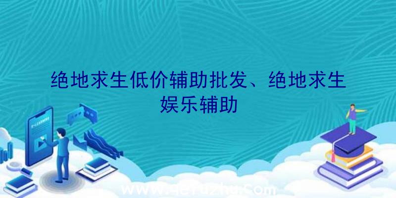 绝地求生低价辅助批发、绝地求生娱乐辅助