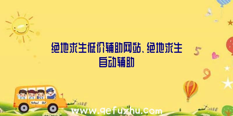 绝地求生低价辅助网站、绝地求生自动辅助