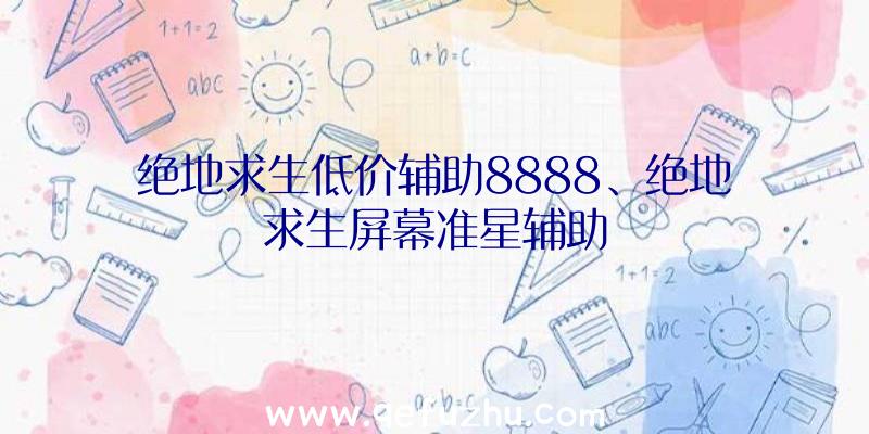 绝地求生低价辅助8888、绝地求生屏幕准星辅助