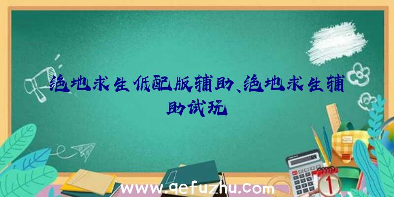 绝地求生低配版辅助、绝地求生辅助试玩