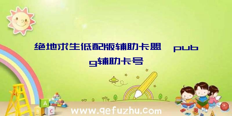 绝地求生低配版辅助卡盟、pubg辅助卡号