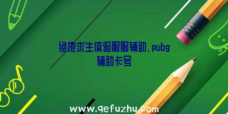 绝地求生体验服服辅助、pubg辅助卡号