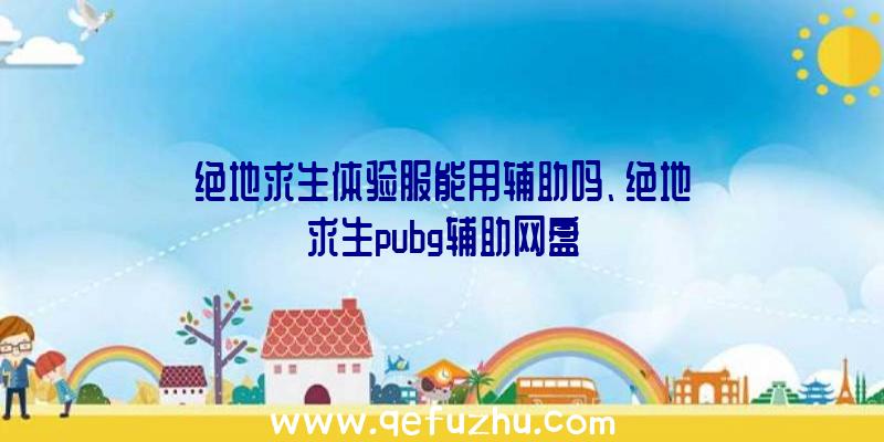 绝地求生体验服能用辅助吗、绝地求生pubg辅助网盘