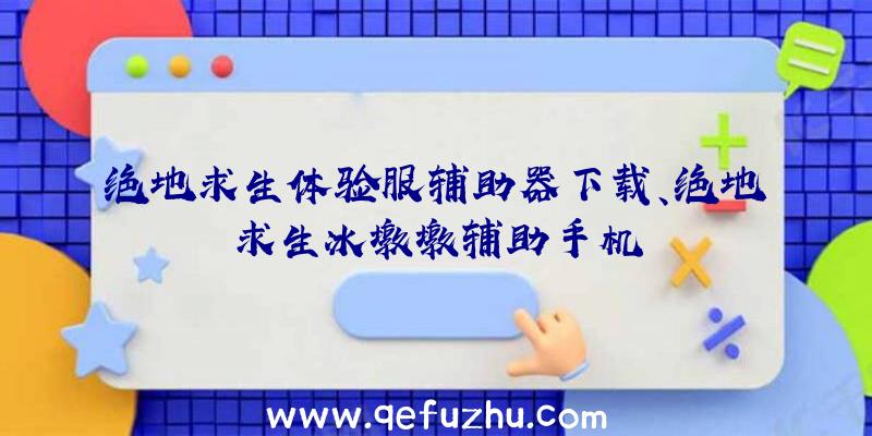 绝地求生体验服辅助器下载、绝地求生冰墩墩辅助手机