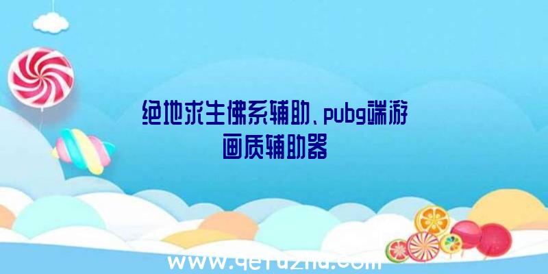 绝地求生佛系辅助、pubg端游画质辅助器