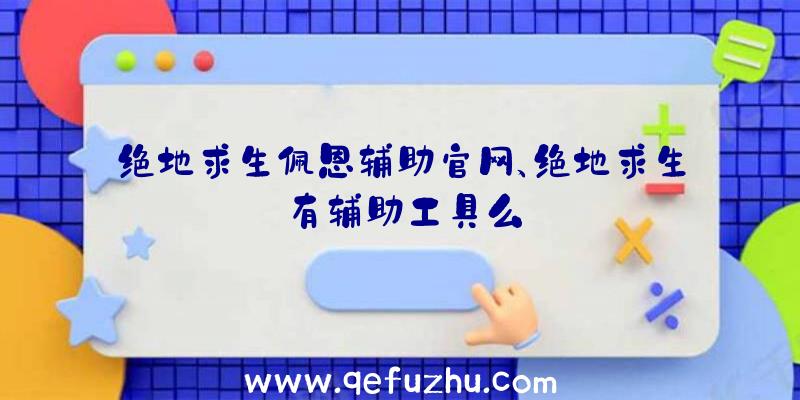 绝地求生佩恩辅助官网、绝地求生有辅助工具么