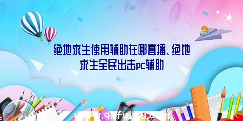 绝地求生使用辅助在哪直播、绝地求生全民出击pc辅助