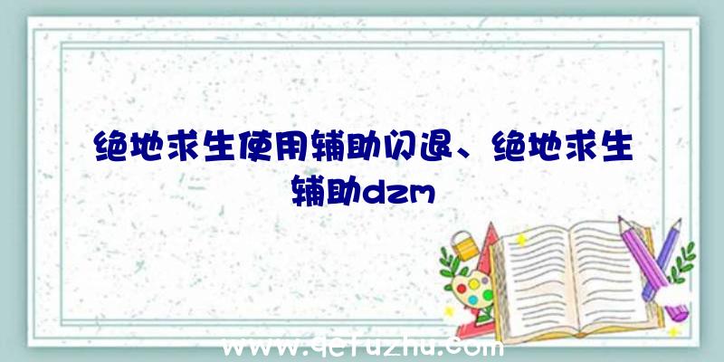 绝地求生使用辅助闪退、绝地求生辅助dzm