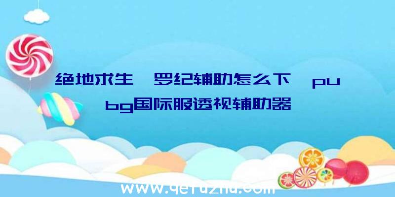 绝地求生侏罗纪辅助怎么下、pubg国际服透视辅助器