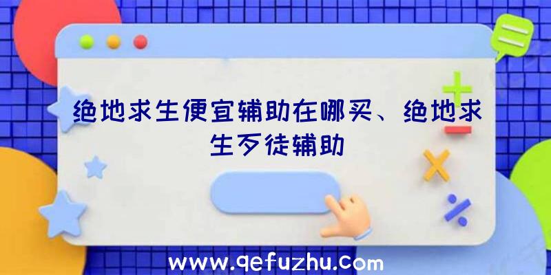 绝地求生便宜辅助在哪买、绝地求生歹徒辅助