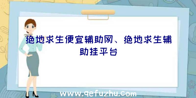 绝地求生便宜辅助网、绝地求生辅助挂平台