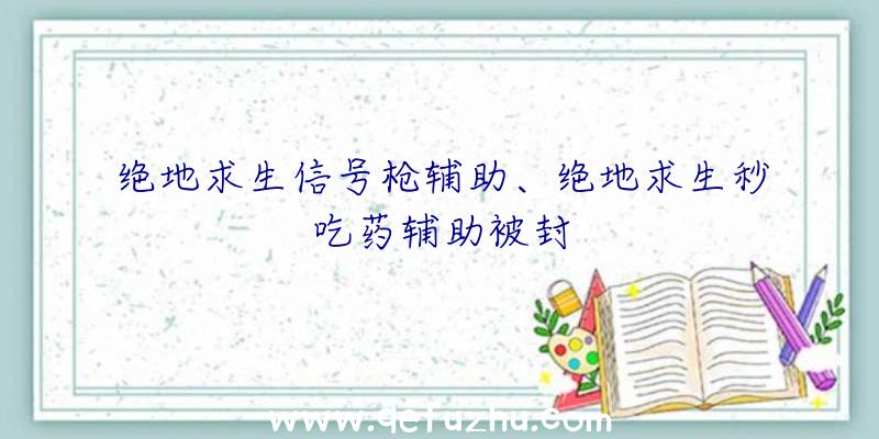 绝地求生信号枪辅助、绝地求生秒吃药辅助被封