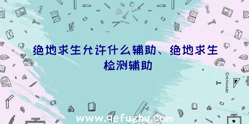 绝地求生允许什么辅助、绝地求生