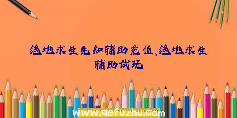 绝地求生先知辅助充值、绝地求生辅助试玩