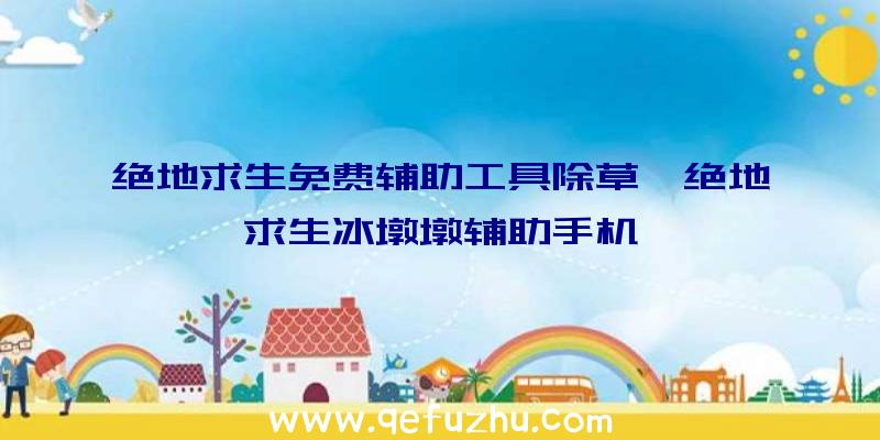 绝地求生免费辅助工具除草、绝地求生冰墩墩辅助手机