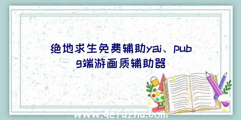 绝地求生免费辅助yai、pubg端游画质辅助器