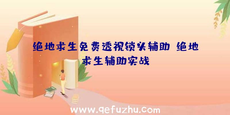 绝地求生免费透视锁头辅助、绝地求生辅助实战