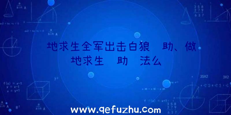 绝地求生全军出击白狼辅助、做绝地求生辅助违法么