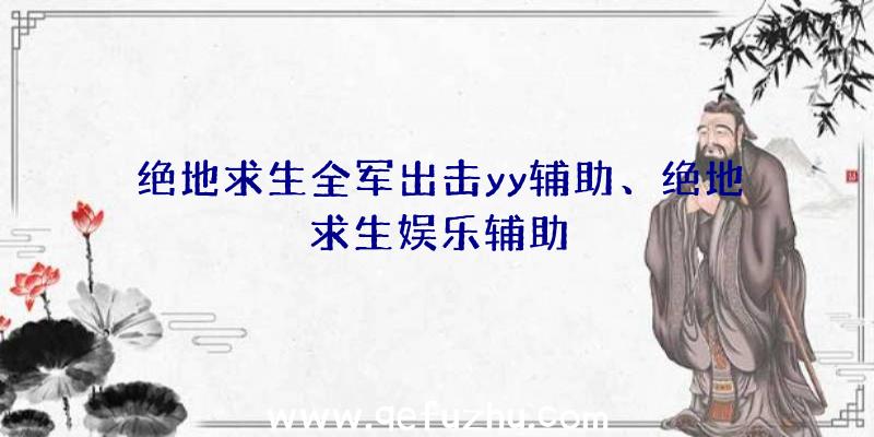 绝地求生全军出击yy辅助、绝地求生娱乐辅助